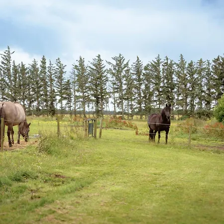 Peace & Tranquility In Untouched Nature By The Sea